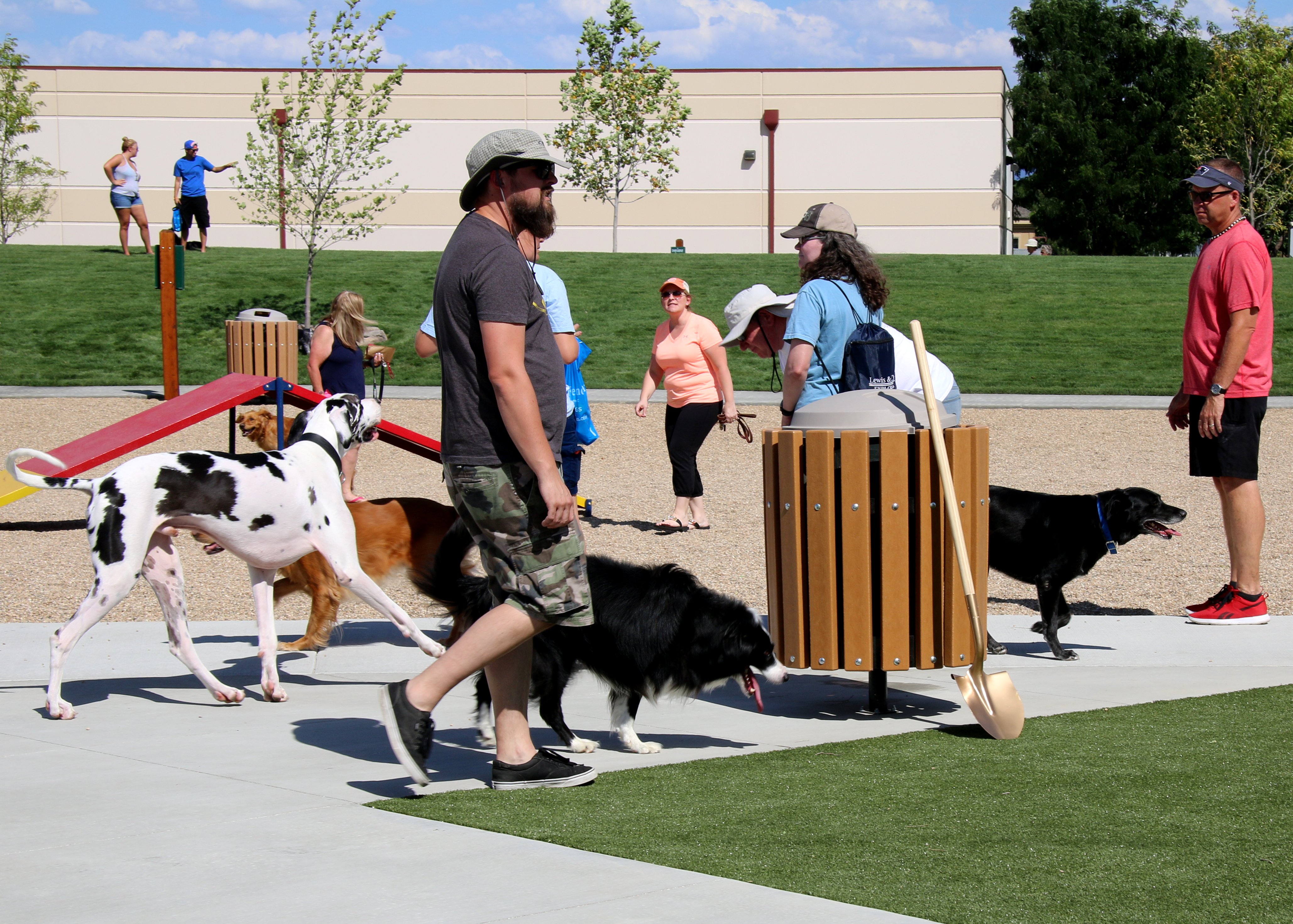 owners and dogs at dog park