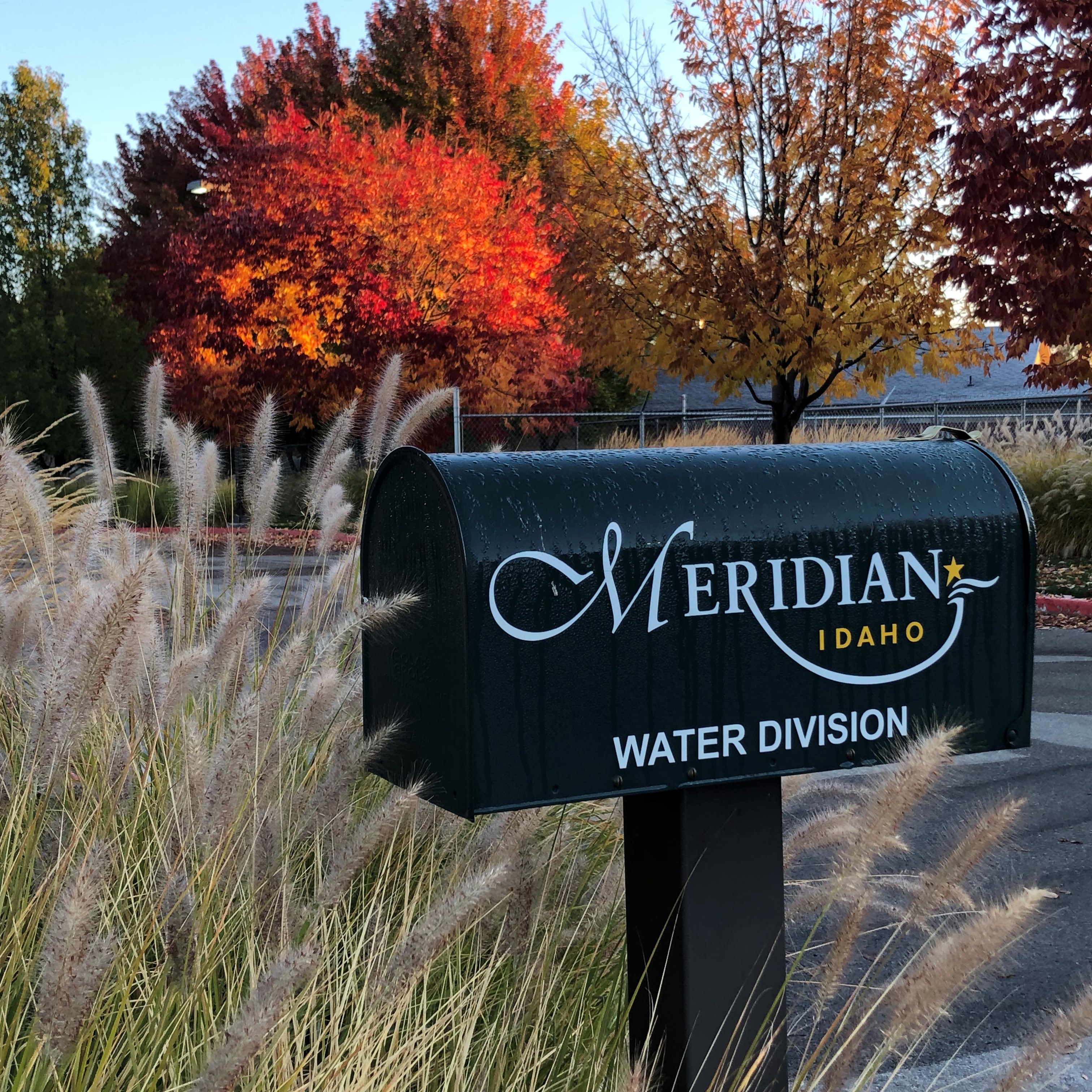 Mailbox with the Meridian City logo with the text Water Division under it